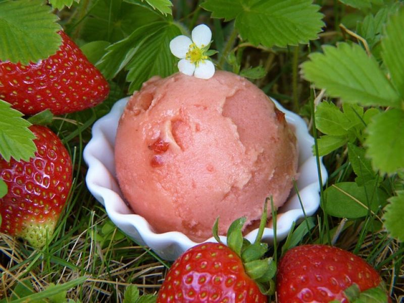 come-si-prepara-il-gelato-in-casa